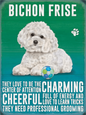 Bichon Frise Metal Wall Sign