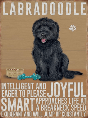 Black Labradoodle Metal Sign