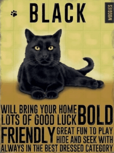 Black Moggies Metal Wall Sign