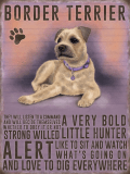Border Terrier Metal Wall Sign