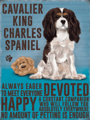 Cavalier King Charles Metal Signs