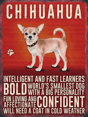Chihuahua Metal Sign