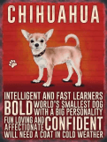 Chihuahua Metal Wall Sign