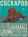 Brown Cockapoo Metal Wall Sign