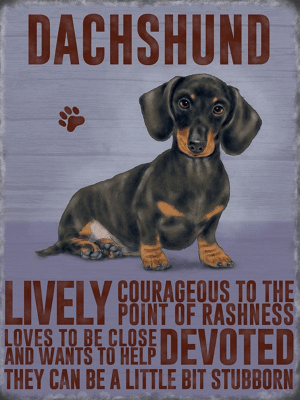 Dachshund Metal Sign