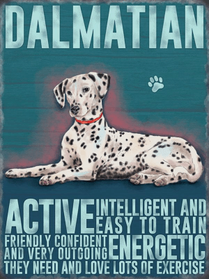 Dalmation Metal Sign