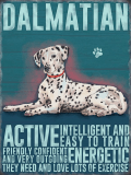 Dalmation Metal Wall Sign