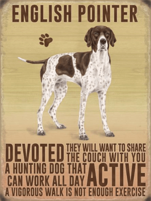 English Pointer Metal Wall Sign
