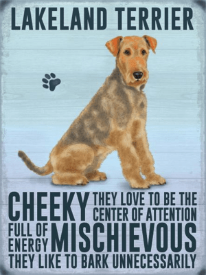 Lakeland Terrier Metal Wall Sign