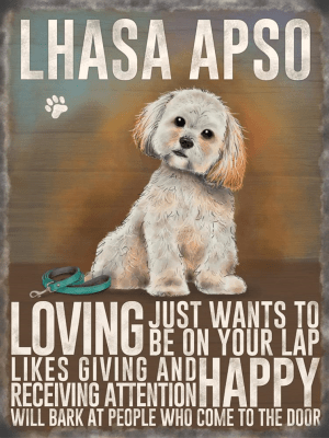 Lhasa Apso Metal Sign