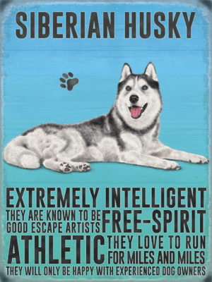 Siberian Husky Metal Wall Sign