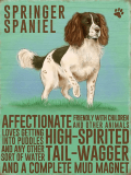 Springer Spaniel Metal Sign
