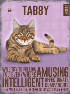 Tabby Moggie Metal Wall Sign