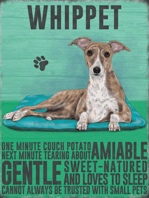 Whippet Metal Sign