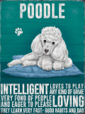 White Poodle Metal Wall Sign