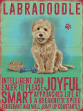 Yellow Labradoodle Metal Wall Sign