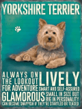 Yorkie Metal Wall Sign